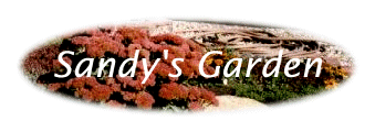 Sandy's Garden Title Image