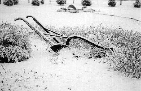 Black and white photo of our old plow