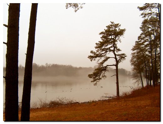 Foggy reservoir.