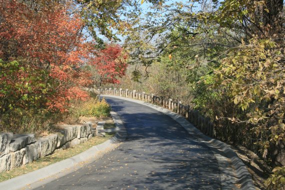 Fall color along the pathway