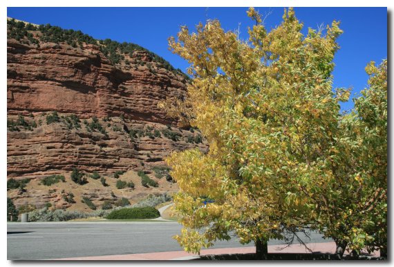 A little fall color along the way, rest stop at Echo, Utah