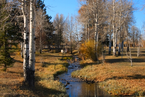 Creek at Fort Bridger.